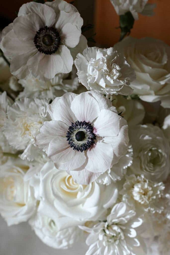 anemone flowers