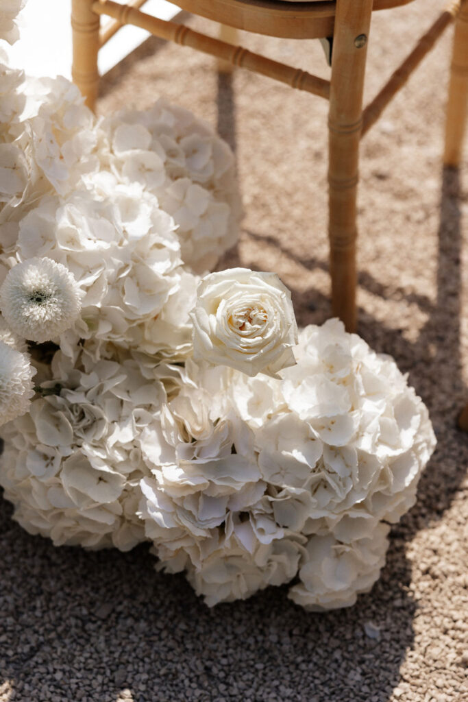 Bastide du Roy J.Jellet detail shot white flowers